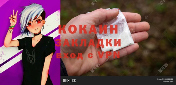 apvp Пестово