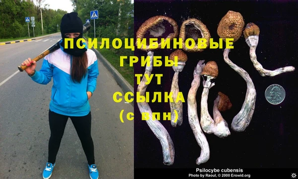 mdpv Абдулино