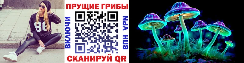 omg сайт  Ирбит  сайты даркнета телеграм  Галлюциногенные грибы ЛСД 
